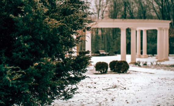 22 ноября отмечаем праздники психолога, сыновей, приемной семьи в Ульяновской области и не только 22 ноября отмечаем праздники психолога, сыновей, приемной семьи в Ульяновской области и не только