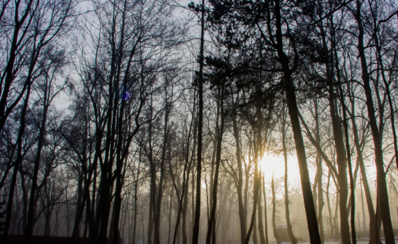 Магия Растущей Луны: что можно и нельзя 22 ноября 2025 года — как привлечь деньги и карьеру Магия Растущей Луны: что можно и нельзя 22 ноября 2025 года — как привлечь деньги и карьеру